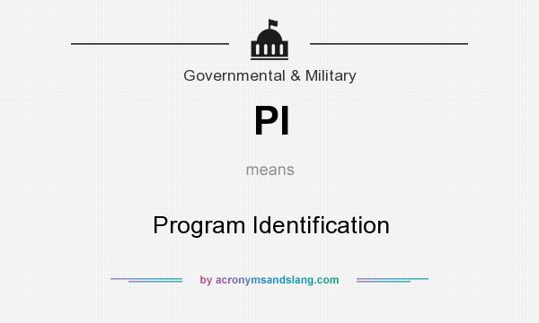 What does PI mean? It stands for Program Identification