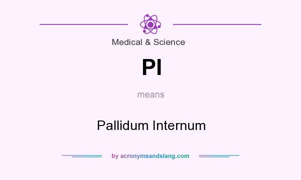 What does PI mean? It stands for Pallidum Internum