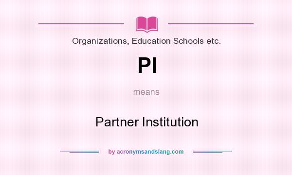 What does PI mean? It stands for Partner Institution