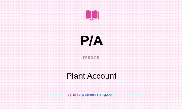 What does P/A mean? It stands for Plant Account
