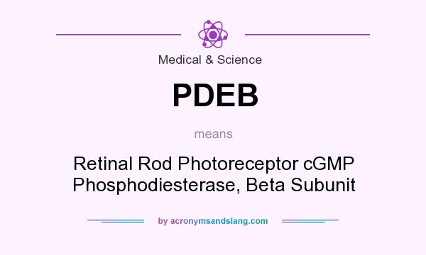 What does PDEB mean? It stands for Retinal Rod Photoreceptor cGMP Phosphodiesterase, Beta Subunit