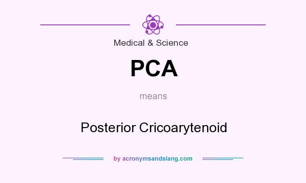What does PCA mean? It stands for Posterior Cricoarytenoid