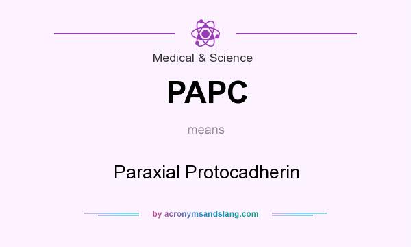 What does PAPC mean? It stands for Paraxial Protocadherin