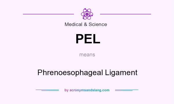 What does PEL mean? It stands for Phrenoesophageal Ligament