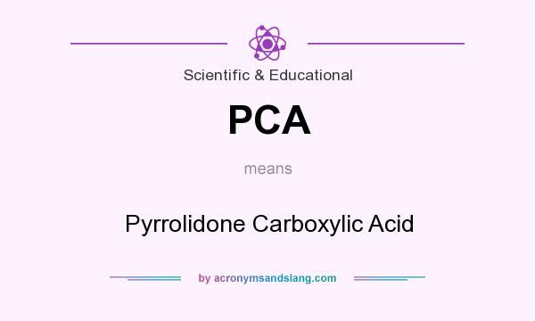 What does PCA mean? It stands for Pyrrolidone Carboxylic Acid