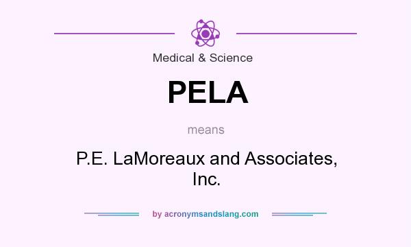 What does PELA mean? It stands for P.E. LaMoreaux and Associates, Inc.