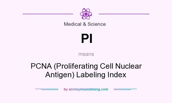 What does PI mean? It stands for PCNA (Proliferating Cell Nuclear Antigen) Labeling Index