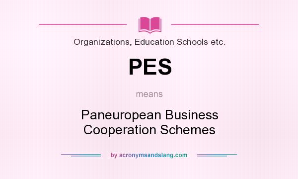 What does PES mean? It stands for Paneuropean Business Cooperation Schemes