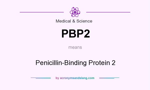 What does PBP2 mean? It stands for Penicillin-Binding Protein 2