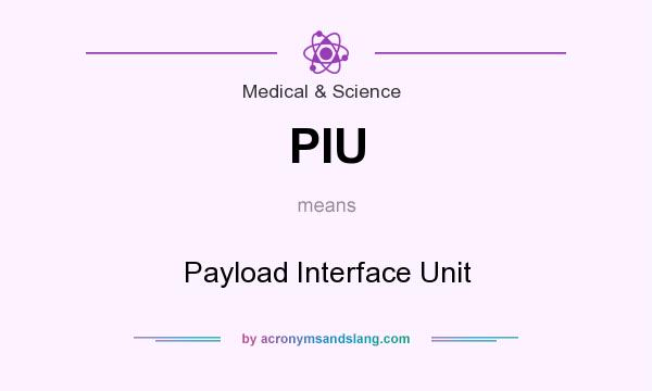 What does PIU mean? It stands for Payload Interface Unit