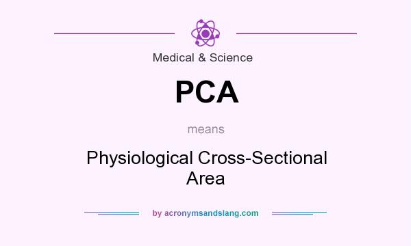 What does PCA mean? It stands for Physiological Cross-Sectional Area