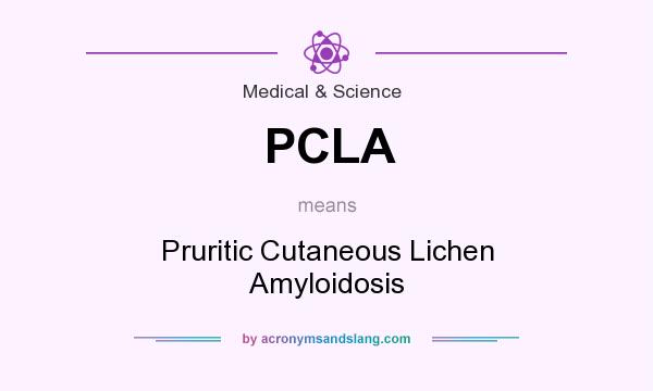 What does PCLA mean? It stands for Pruritic Cutaneous Lichen Amyloidosis