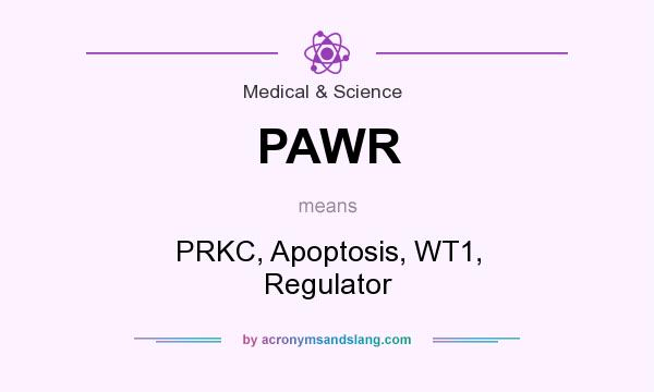 What does PAWR mean? It stands for PRKC, Apoptosis, WT1, Regulator