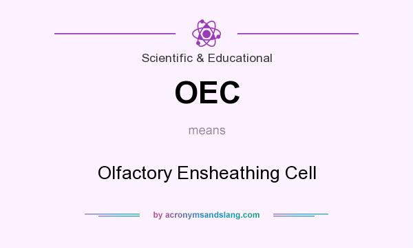 What does OEC mean? It stands for Olfactory Ensheathing Cell