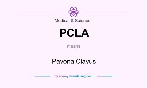 What does PCLA mean? It stands for Pavona Clavus