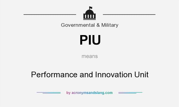 What does PIU mean? It stands for Performance and Innovation Unit