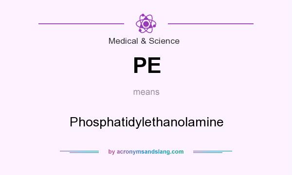 What does PE mean? It stands for Phosphatidylethanolamine
