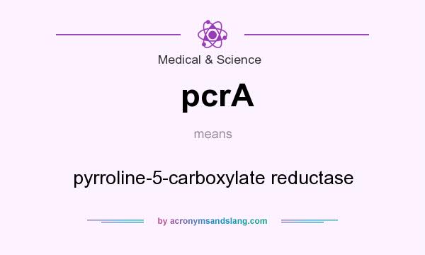 What does pcrA mean? It stands for pyrroline-5-carboxylate reductase