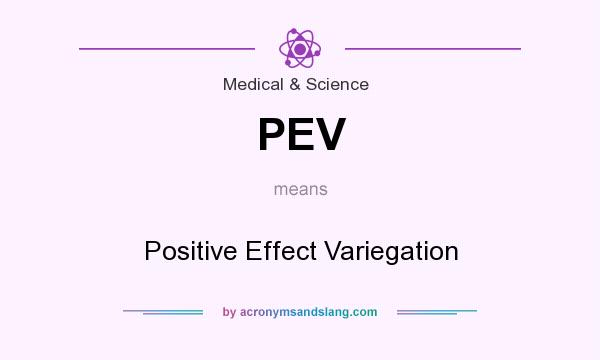 What does PEV mean? It stands for Positive Effect Variegation