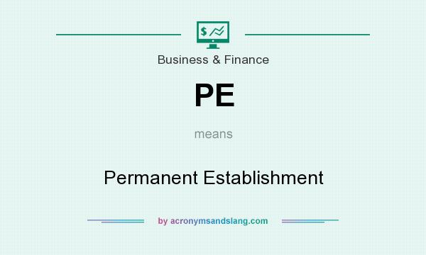 What does PE mean? It stands for Permanent Establishment
