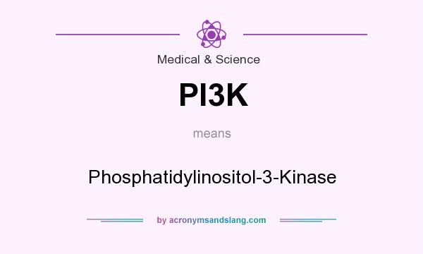 What does PI3K mean? It stands for Phosphatidylinositol-3-Kinase
