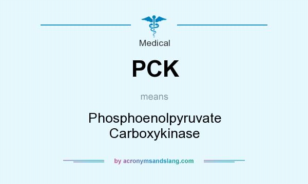 What does PCK mean? It stands for Phosphoenolpyruvate Carboxykinase