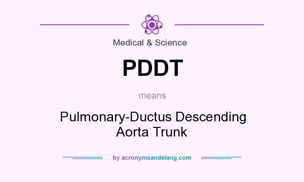 What does PDDT mean? It stands for Pulmonary-Ductus Descending Aorta Trunk