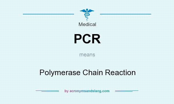 What does PCR mean? It stands for Polymerase Chain Reaction