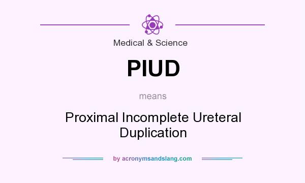 What does PIUD mean? It stands for Proximal Incomplete Ureteral Duplication