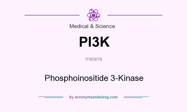 What does PI3K mean? It stands for Phosphoinositide 3-Kinase