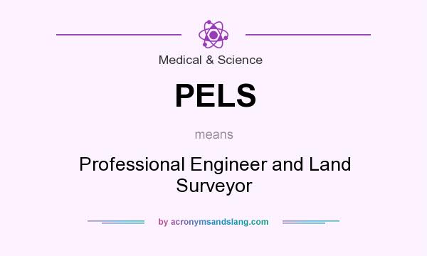 What does PELS mean? It stands for Professional Engineer and Land Surveyor