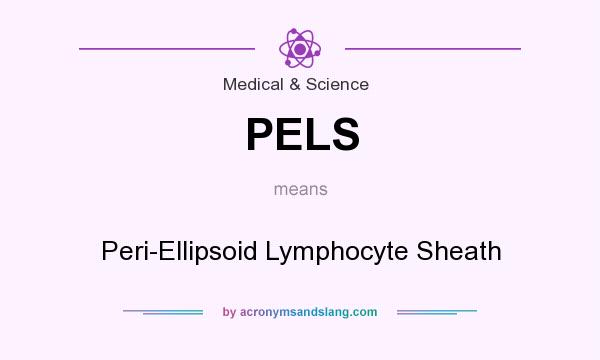 What does PELS mean? It stands for Peri-Ellipsoid Lymphocyte Sheath