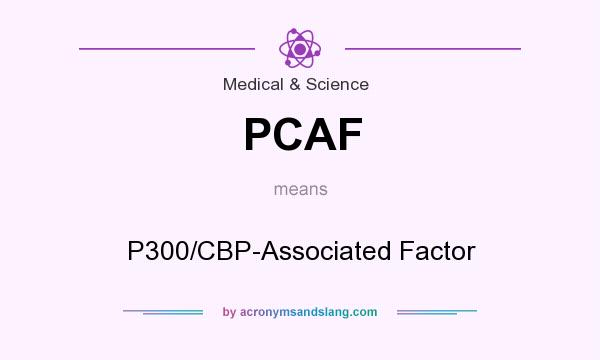 What does PCAF mean? It stands for P300/CBP-Associated Factor