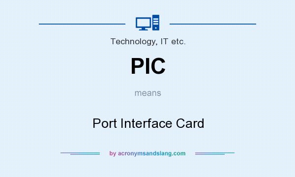 What does PIC mean? It stands for Port Interface Card
