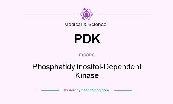 What does PDK mean? It stands for Phosphatidylinositol-Dependent Kinase