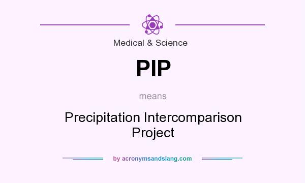 What does PIP mean? It stands for Precipitation Intercomparison Project