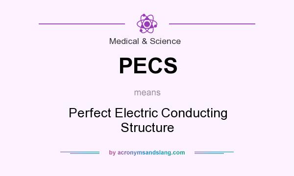 What does PECS mean? It stands for Perfect Electric Conducting Structure