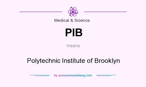 What does PIB mean? It stands for Polytechnic Institute of Brooklyn