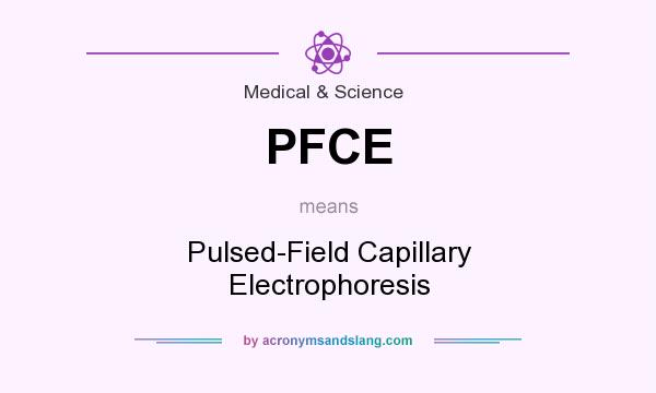 What does PFCE mean? It stands for Pulsed-Field Capillary Electrophoresis