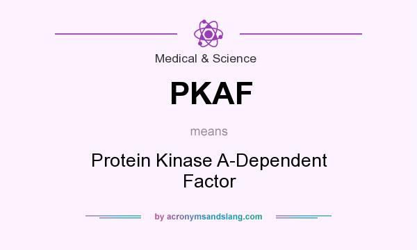 What does PKAF mean? It stands for Protein Kinase A-Dependent Factor