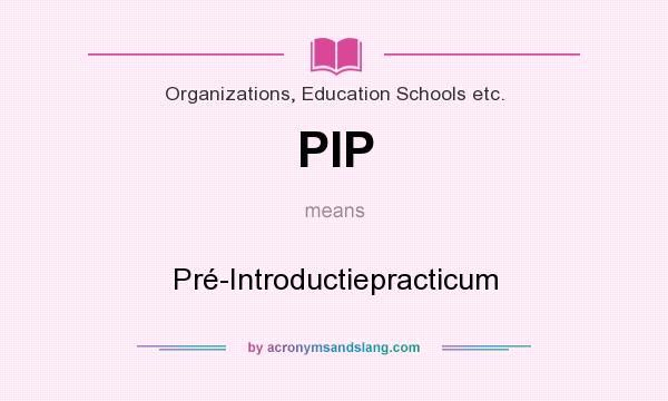 What does PIP mean? It stands for Pré-Introductiepracticum
