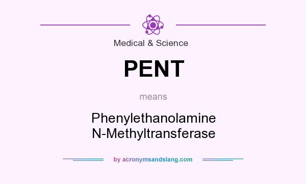 What does PENT mean? It stands for Phenylethanolamine N-Methyltransferase