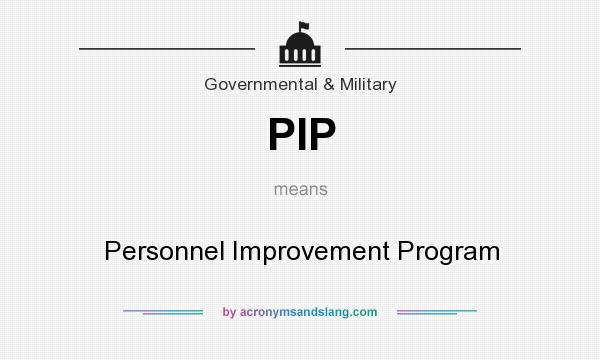 What does PIP mean? It stands for Personnel Improvement Program