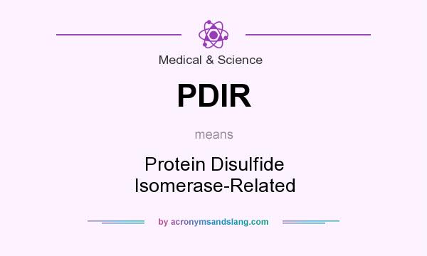 What does PDIR mean? It stands for Protein Disulfide Isomerase-Related