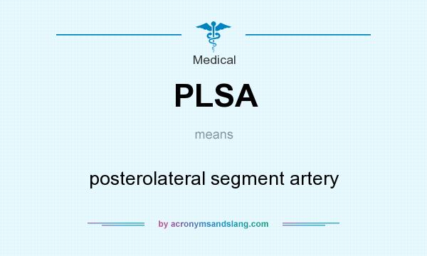 What does PLSA mean? It stands for posterolateral segment artery