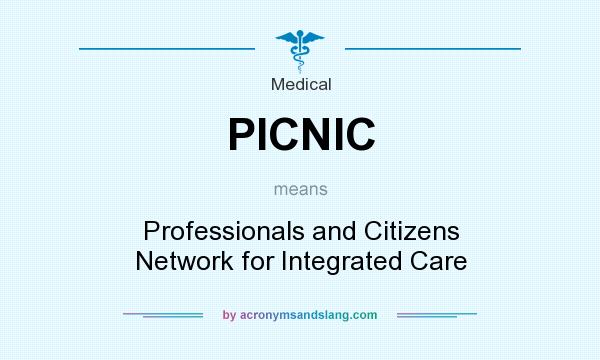 What does PICNIC mean? It stands for Professionals and Citizens Network for Integrated Care