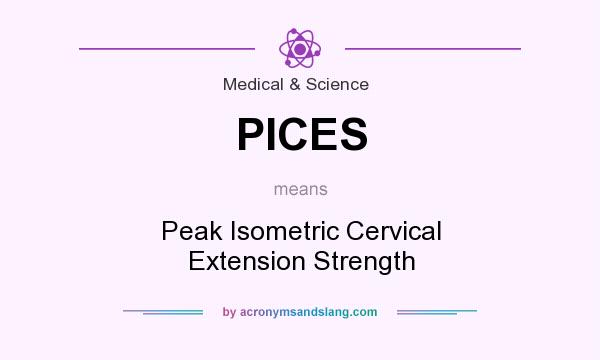 What does PICES mean? It stands for Peak Isometric Cervical Extension Strength