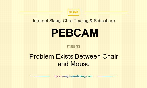 What does PEBCAM mean? It stands for Problem Exists Between Chair and Mouse