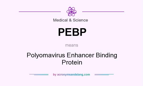 What does PEBP mean? It stands for Polyomavirus Enhancer Binding Protein