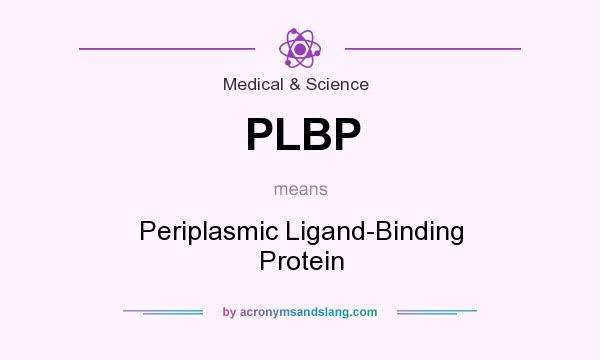 What does PLBP mean? It stands for Periplasmic Ligand-Binding Protein
